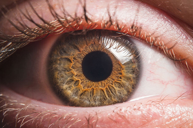 Closeup of a Cornea